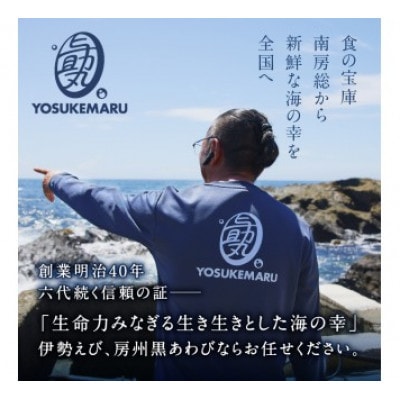 【天然】ボイル冷凍伊勢海老 ハーフカット600g(半身6～8個) mi0020-0013