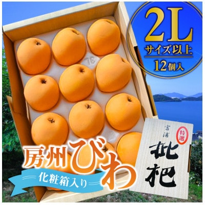 【先行受付 】房州びわ 2Lサイズ以上 12個入(化粧箱入) mi0114-0001