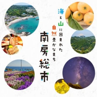 【先行受付 】房州びわ 2Lサイズ以上 12個入(化粧箱入) mi0114-0001