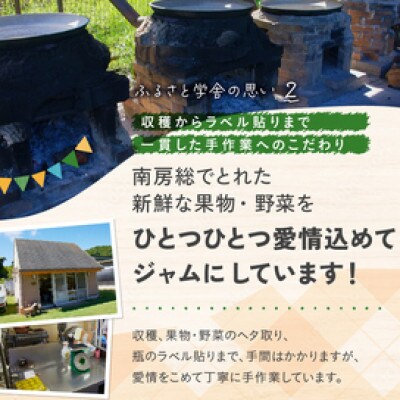 【思いやり型返礼品】季節のジャム2種と塩セット mi0049-0003