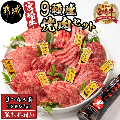 宮崎牛9種盛り焼肉セット