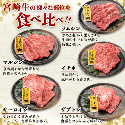 宮崎牛9種盛り焼肉セット