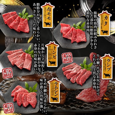 都城産宮崎牛赤身10種盛焼肉