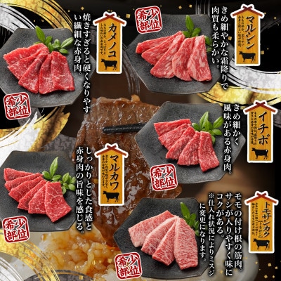 都城産宮崎牛赤身10種盛焼肉