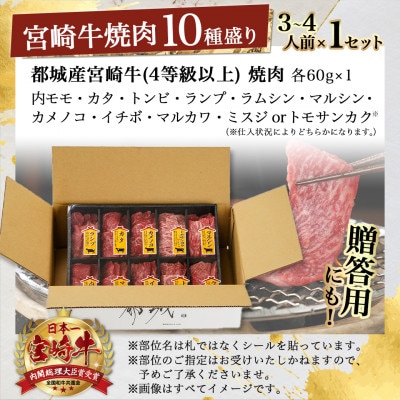 都城産宮崎牛赤身10種盛焼肉
