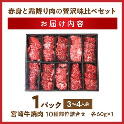 宮崎牛赤身焼肉10種盛焼肉 600g