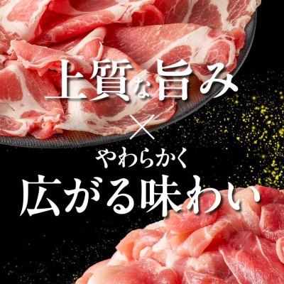 霧島黒豚バラエティーセット2.85kg