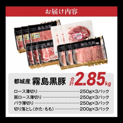 霧島黒豚バラエティーセット2.85kg