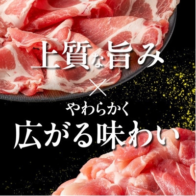 霧島黒豚バラエティーセット1.9kg