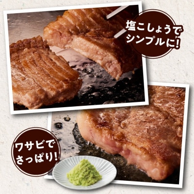 霧島黒豚ステーキセット(ロース&肩ロース各4枚)