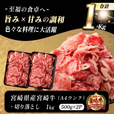 宮崎牛　切り落とし　1kg