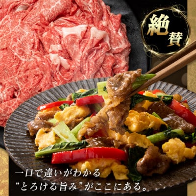 《宮崎牛》【宮崎県 都城市産】切り落とし 1.5kg (500g×3パック)