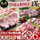 【宮崎県　都城市産】「どんぐりの恵み豚」キャンプ飯3.6kgセット