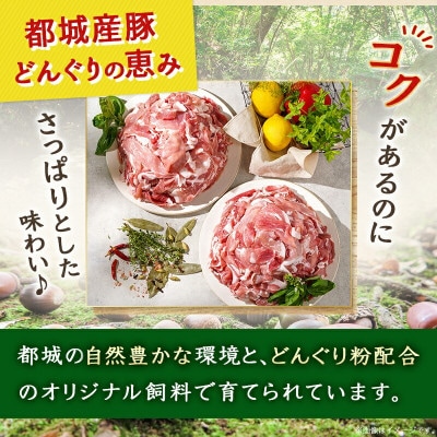 都城産「どんぐりの恵み豚」こま切れ　3.6kg(300g×12パック)