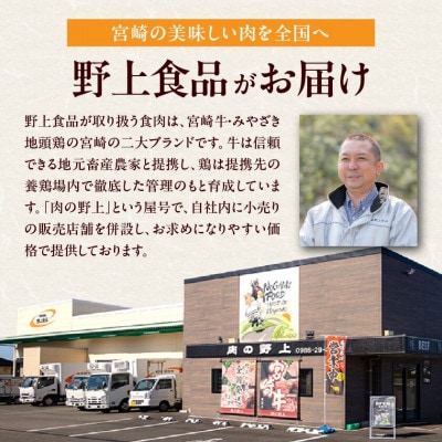 《宮崎牛》【宮崎県】モモ・ウデスライス (400g×2パック)