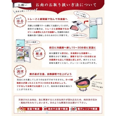 宮崎牛霜降りカルビ焼肉　800g
