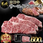 宮崎牛サーロインステーキ200g×3枚