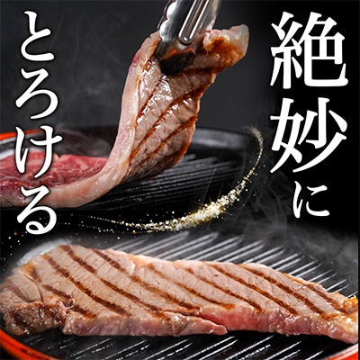 宮崎牛サーロインステーキ200g×3枚