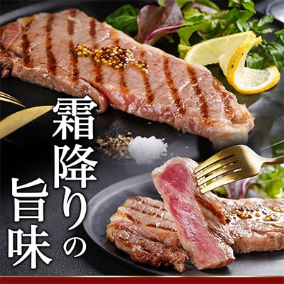 宮崎牛サーロインステーキ200g×3枚