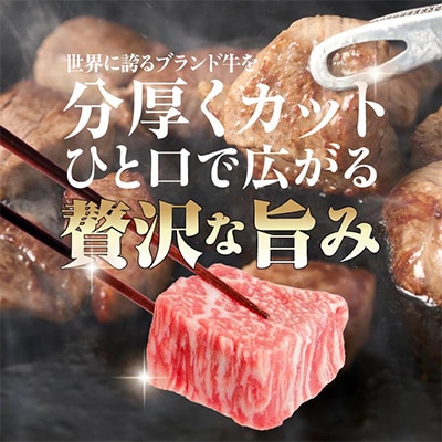 宮崎牛サイコロステーキ(ロース・モモMIX)170g×4P