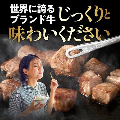 宮崎牛サイコロステーキ(ロース・モモMIX)170g×4P