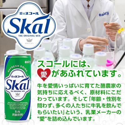 【宮崎県都城市】愛をこめて… 愛のスコール40本セット