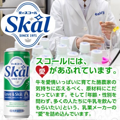【宮崎県都城市】愛をこめて… 愛のスコール40本セット
