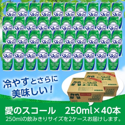 【宮崎県都城市】愛をこめて… 愛のスコール40本セット
