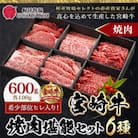 【ヒレ入り!】宮崎牛6種盛り焼肉堪能セット600g