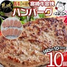 宮崎牛合い挽きハンバーグ10個