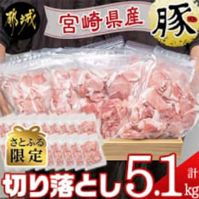 【さとふる限定】宮崎県産豚切り落とし5.1kg(小口ジッパー袋入り)