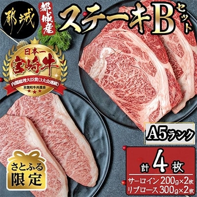 【さとふる限定】都城産宮崎牛(A5)ステーキBセット