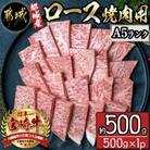 【さとふる限定】【A5ランク】都城産宮崎牛ロース焼肉用　約500g