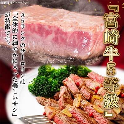 【さとふる限定】 宮崎牛【A5】サーロインハーフカットステーキ (150g×2枚)