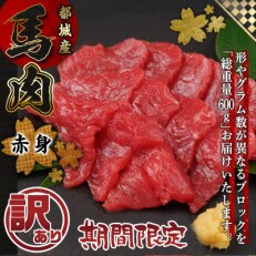 【訳あり・期間限定】総重量600g! 都城産馬刺し赤身ブロック