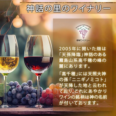焼酎&ワイン計11本お楽しみセット
