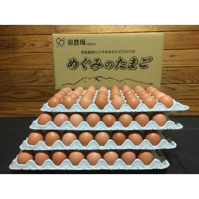 大容量!めぐみのたまご10kg(破損補償20個含む)