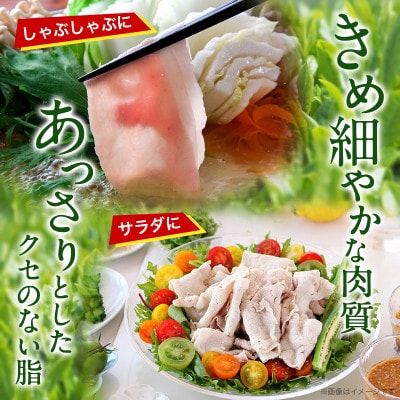 バイオ茶ポークハッピーセット5kg
