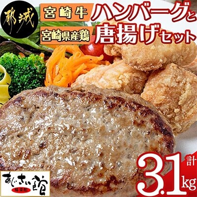 宮崎牛ハンバーグと鶏唐揚げ3.1kgセット