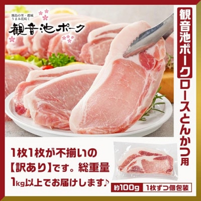 観音池ポークロースとんかつ(訳アリ)&宮崎県産豚切り落とし 1.3kg