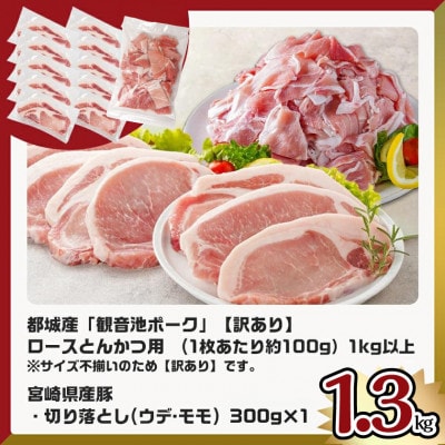 観音池ポークロースとんかつ(訳アリ)&宮崎県産豚切り落とし 1.3kg