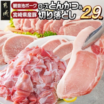 観音池ポークロースとんかつ(訳アリ)&宮崎県産豚切り落とし 2.9kg