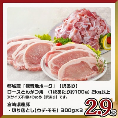 観音池ポークロースとんかつ(訳アリ)&宮崎県産豚切り落とし 2.9kg