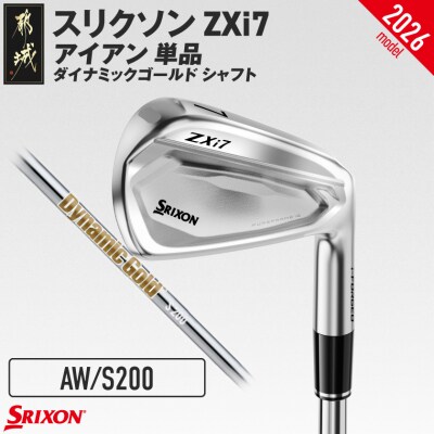 ZXi7アイアン ダイナミックゴールド スチール単品 (AW/S200)【2026モデル】