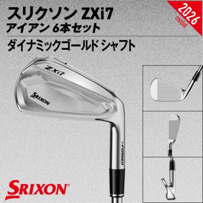 ZXi7アイアン ダイナミックゴールドスチール6本セット(#5～9、PW/S200)2026モデル