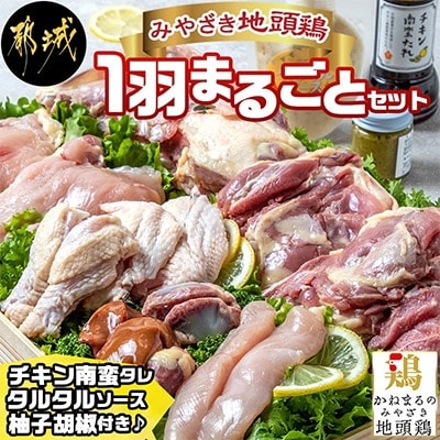 【宮崎県 都城市】みやざき地頭鶏1羽まるごとセット(チキン南蛮タレ・タルタルソース、柚子胡椒付き)
