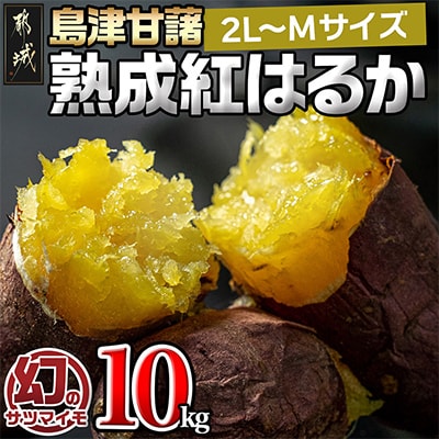 島津甘藷 熟成紅はるか10kg≪2L～M≫ 焼き芋