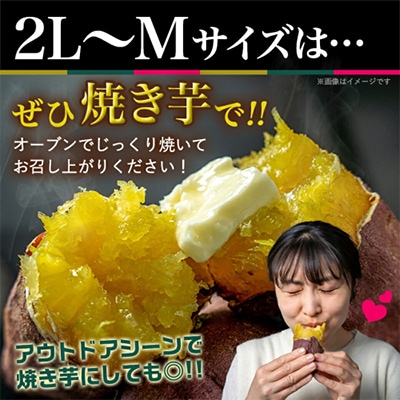 島津甘藷 熟成紅はるか10kg≪2L～M≫ 焼き芋