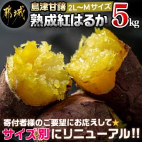 島津甘藷(紅はるか)5kg 2L～M