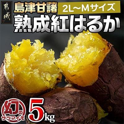 島津甘藷 熟成紅はるか5kg≪2L～M≫ 焼き芋